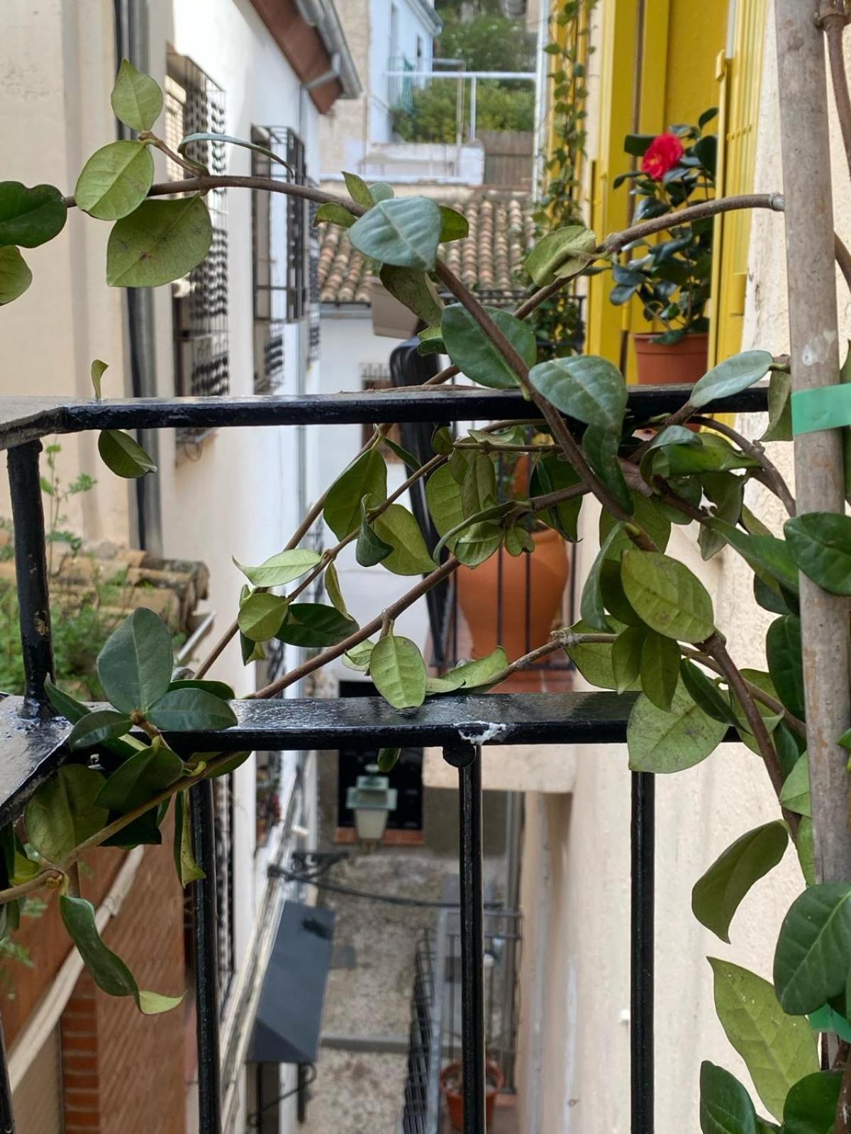 Apartamento Home Stagging New Life Granada Exterior foto