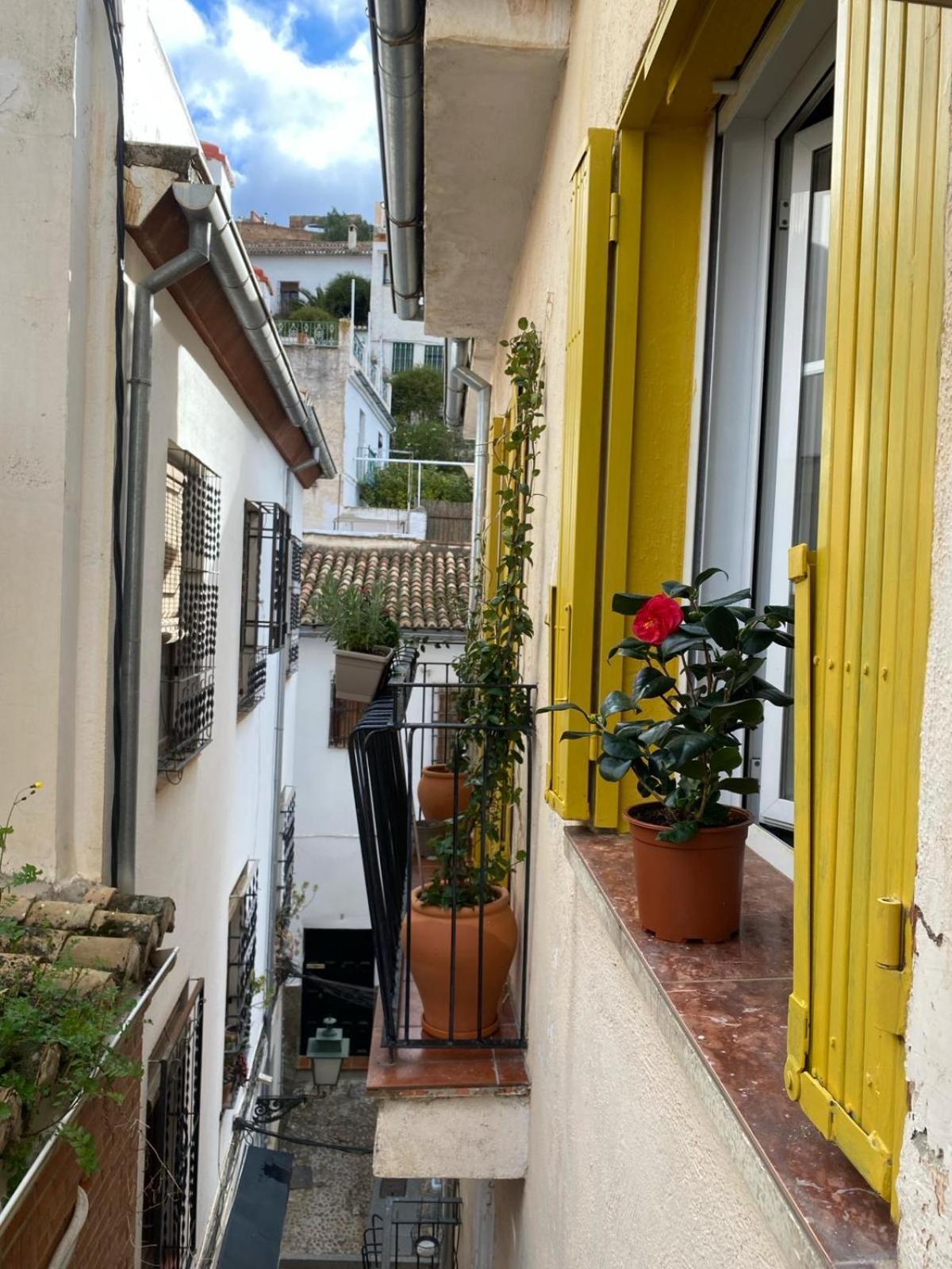 Apartamento Home Stagging New Life Granada Exterior foto